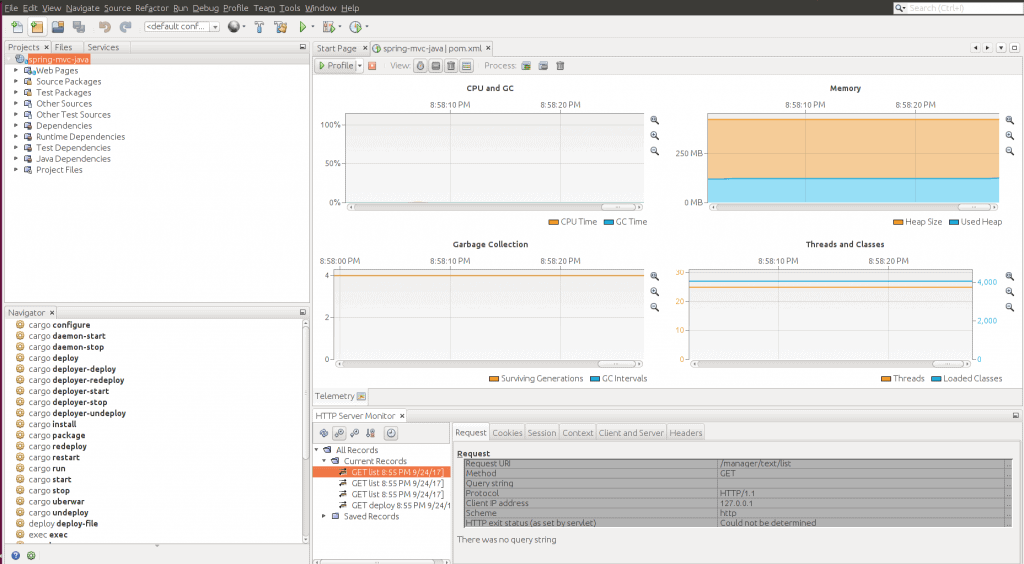 netbeans telemetry view