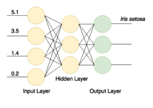 Untitled Diagram