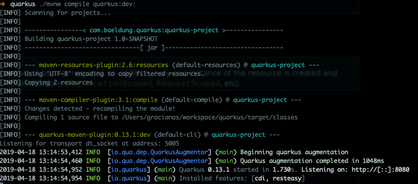 mvn compile quarkus dev