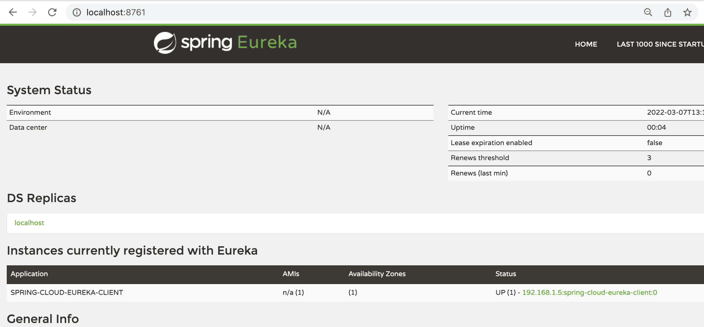 Eureka服务器仪表板上显示发现客户端实例