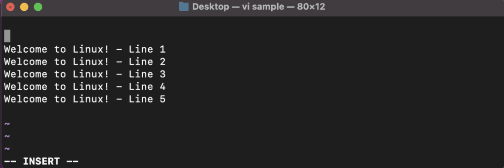 sample vi editor