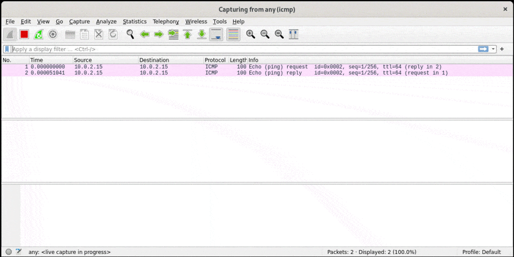 ICMP Packets Captured by Wireshark