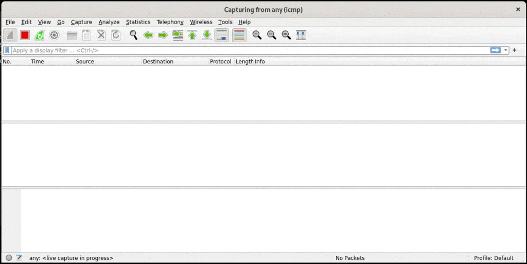 Wireshark Waiting For ICMP Packets