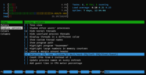 htop detailed display mode