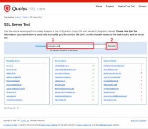 ssllabs input page