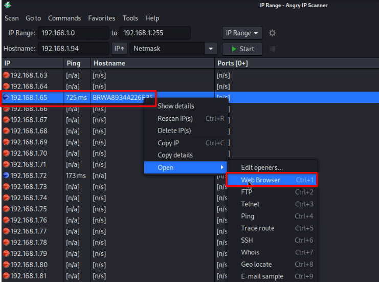 Scan Network range from Angry IP Scanner