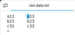 Delete-Operation-Deleting-Specific-Column-in-Vim