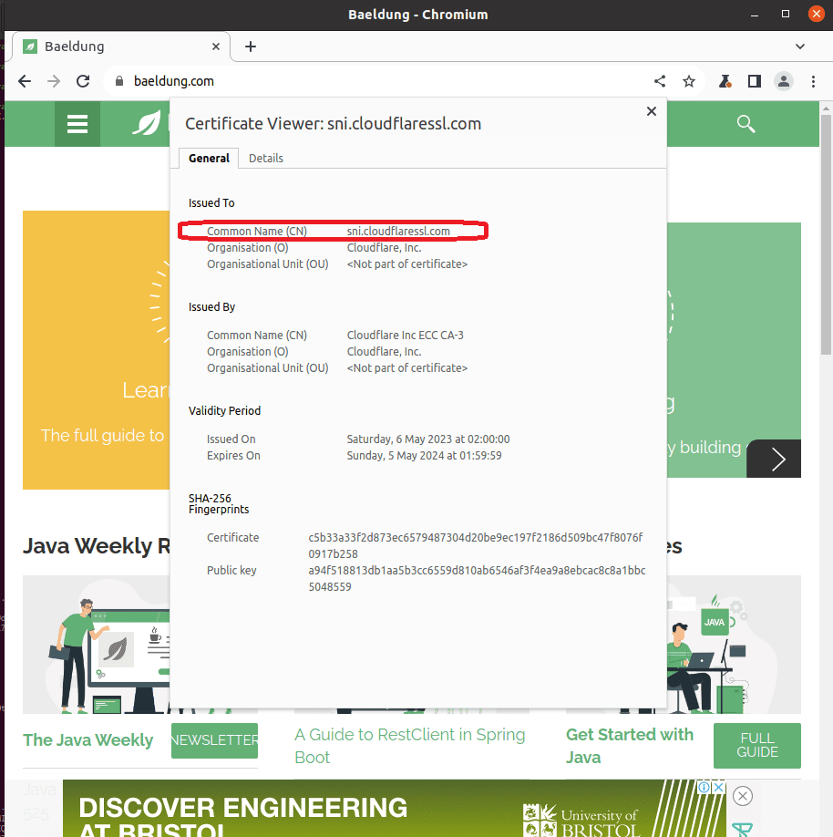 baeldung-com-cn