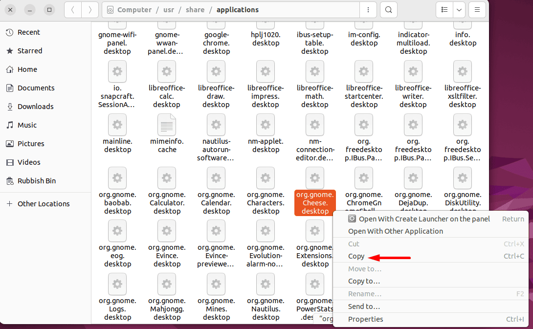 copying cheese.desktop file to linux desktop