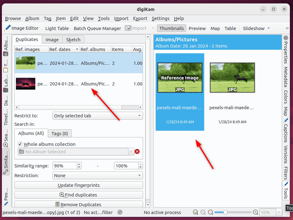 viewing duplicate photos on digiKam tool