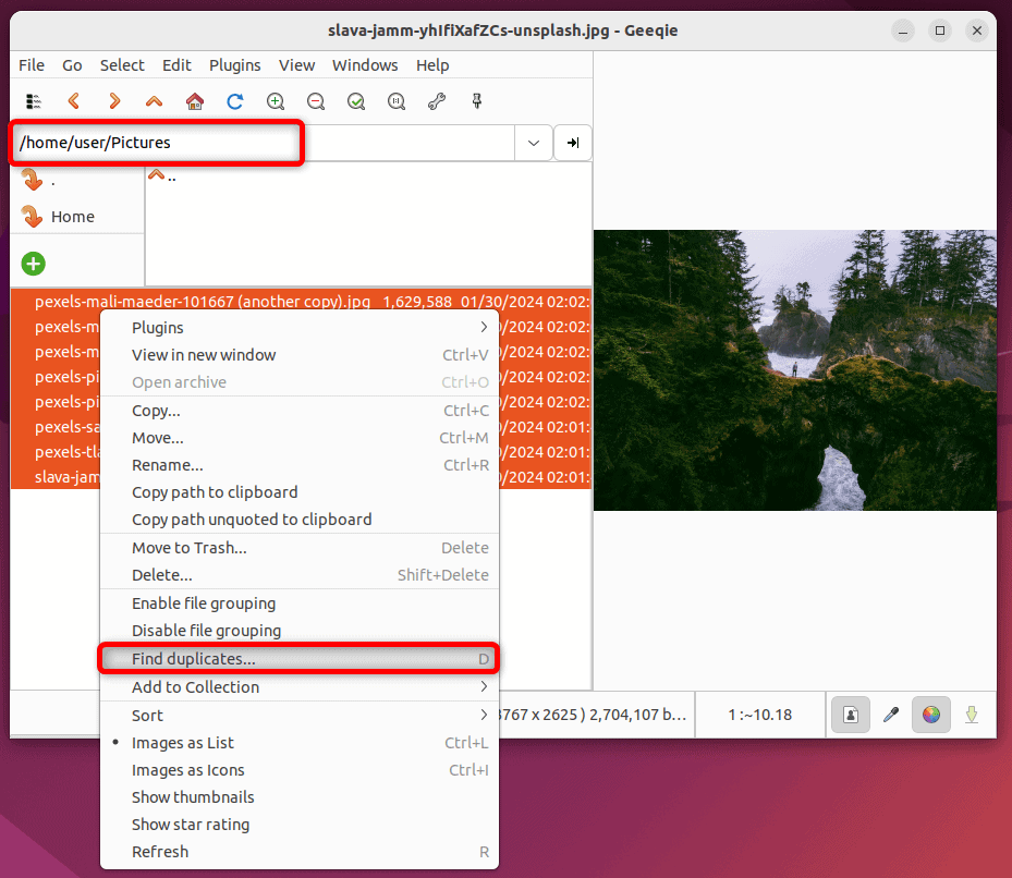 finding duplicate photos on geeqie tool