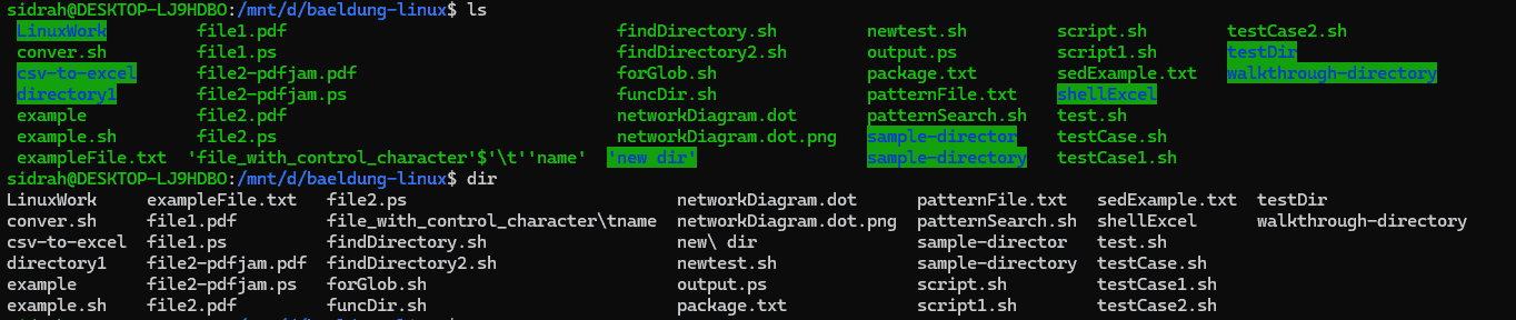 ls and dir output