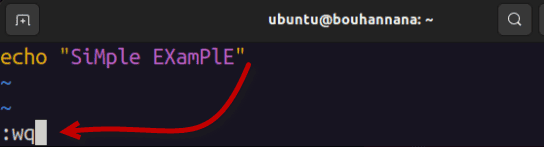 type wq to execute command