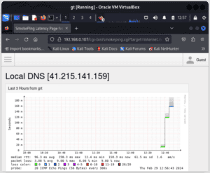 smokeping local dns statistics