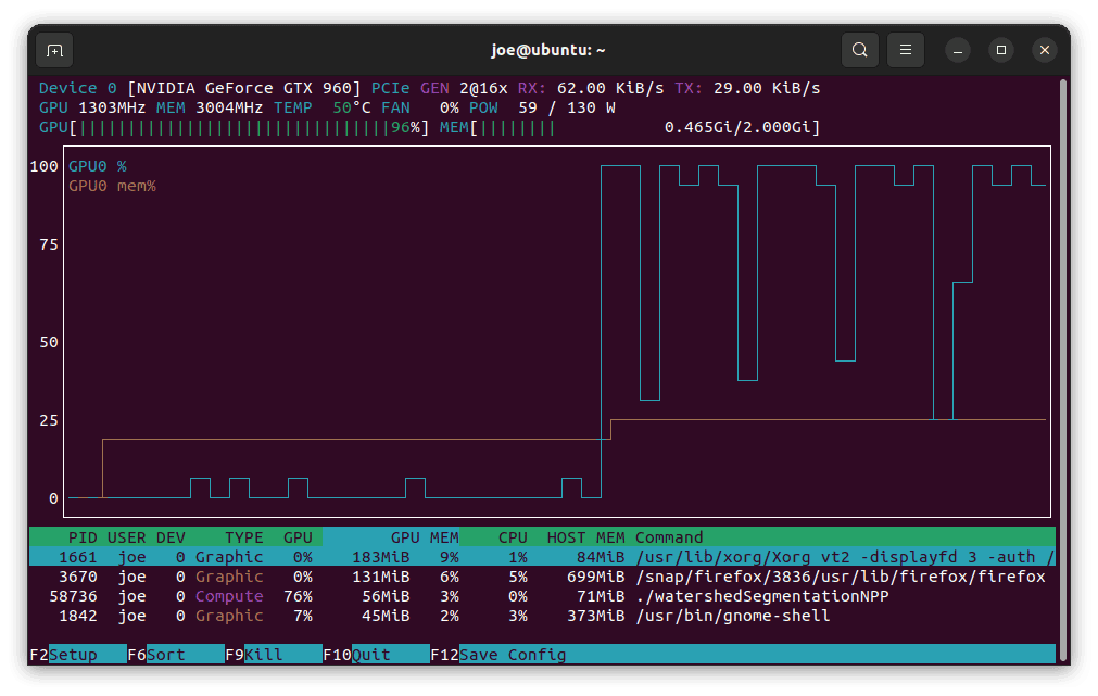 The nvtop output