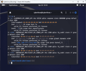 Current interface settings in Linux router