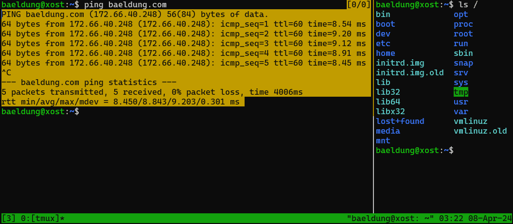 <em>tmux</em> horizontal panes copy mode selected