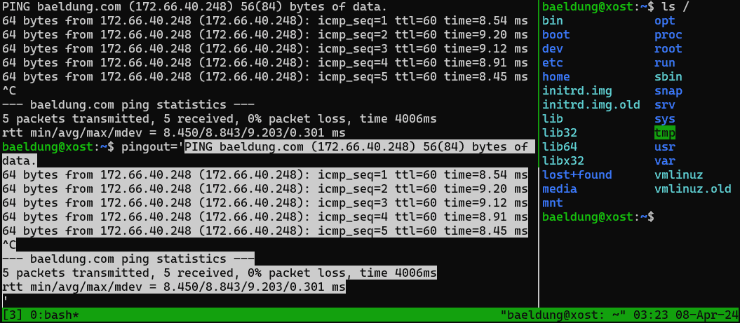 <em>tmux</em> horizontal panes paste