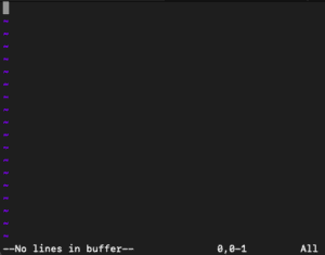 vim empty buffer 1