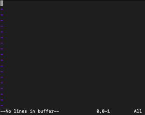 vim empty buffer 2