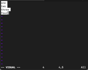 vim visual mode