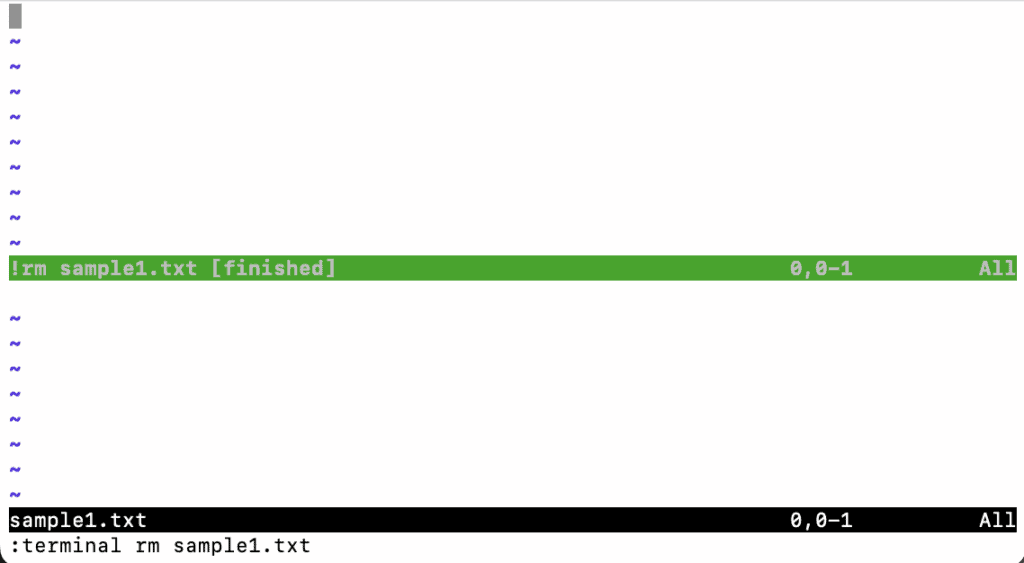 Vim delete file with terminal command