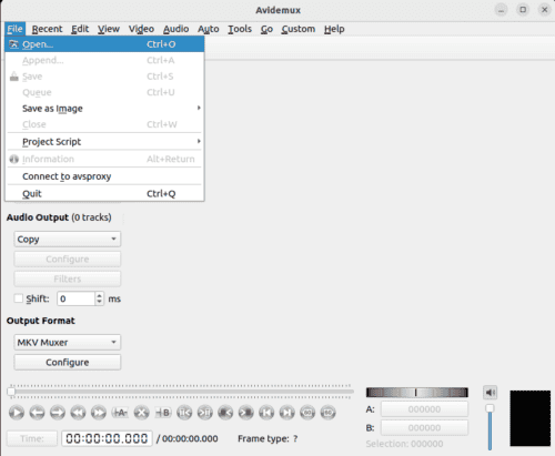 Importing the file