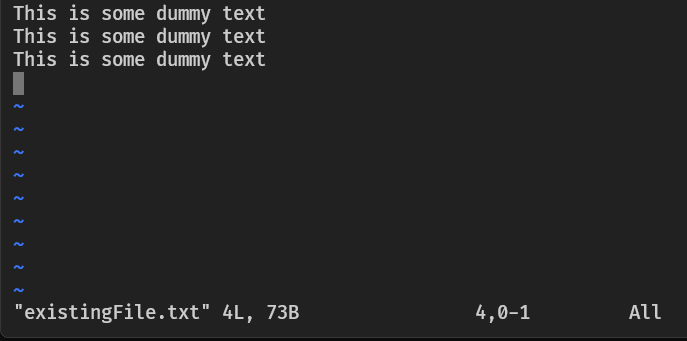 vim opened file