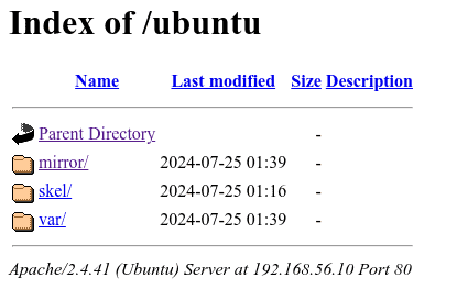 Local repository using apt-mirror via web browser