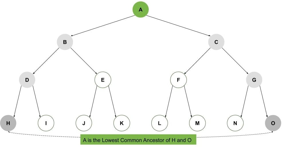 1 Binary Tree