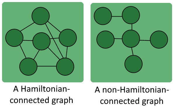 hamiltonian path