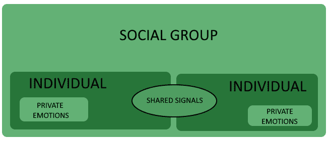 social group