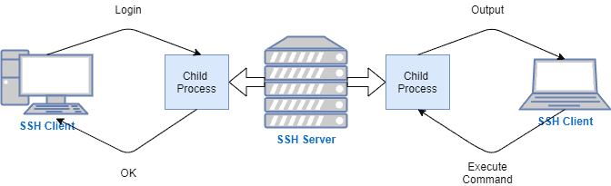 SSH 1