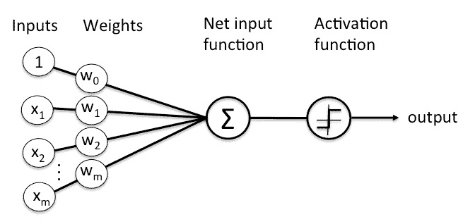 perceptron node