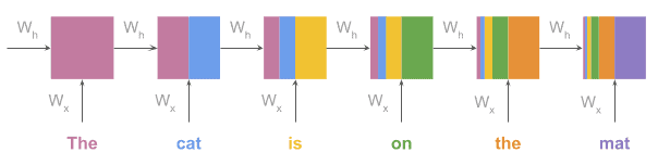 weights loss