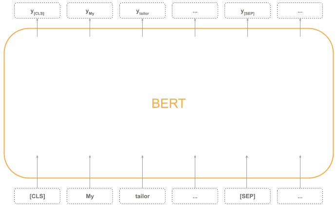 bert