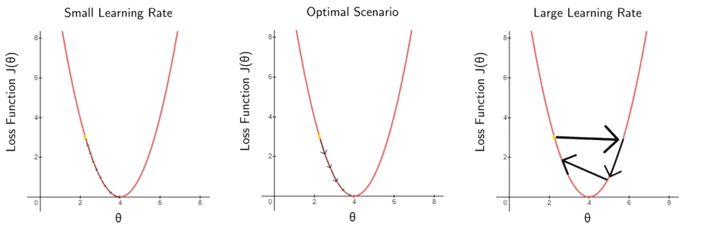 Learning rates