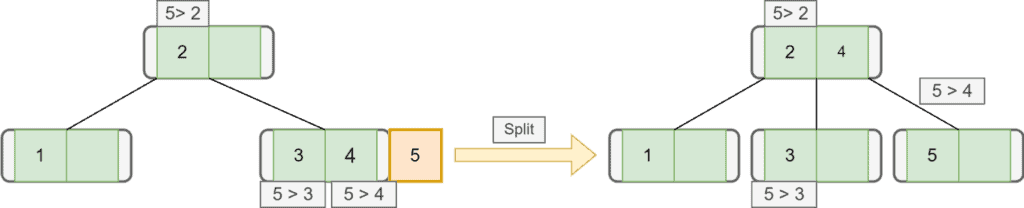 inserting 5 element