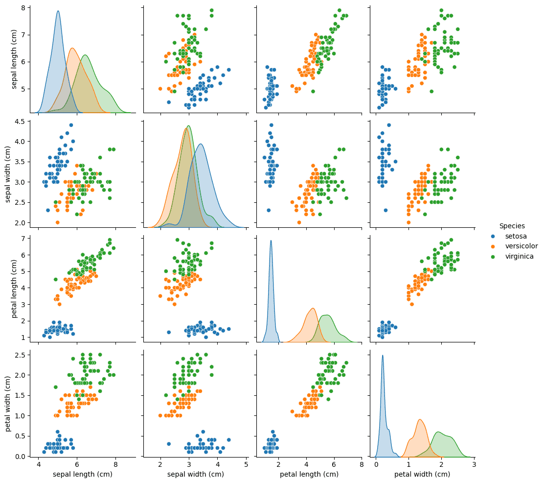 Iris Dataset pairplot