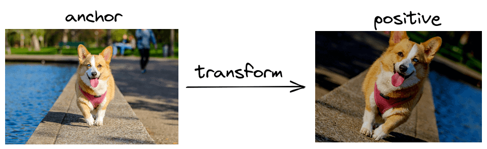 transform