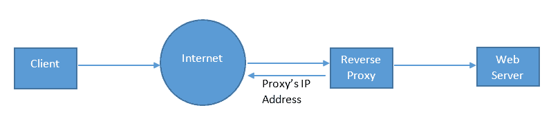 reverse proxy