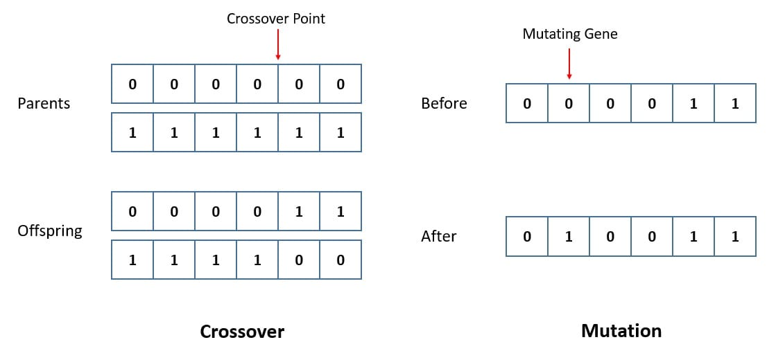 Crossover Mutation