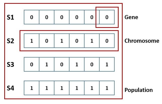 Genetic Representation