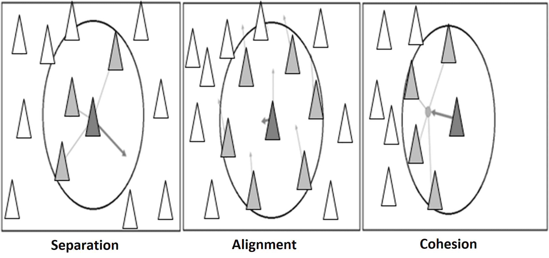 Particle Swarm Optimization Behaviours