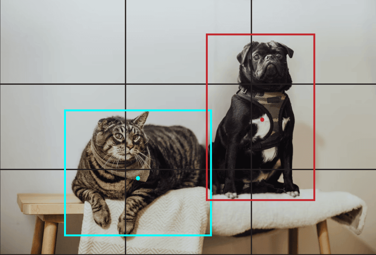 cat dog grid