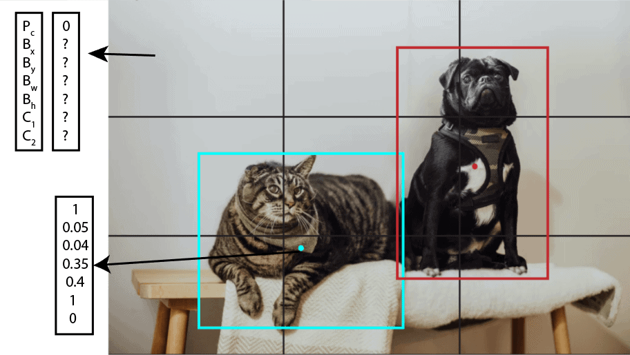 cat dog grid2