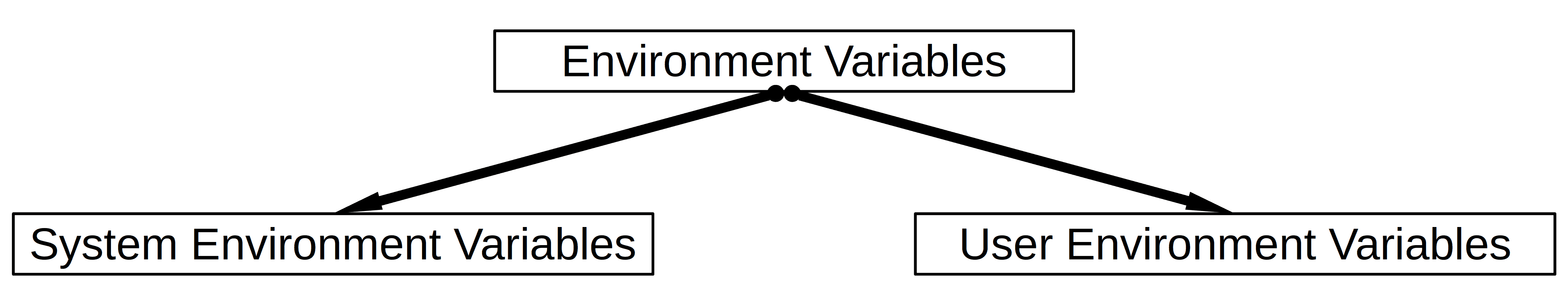 Environment Variables