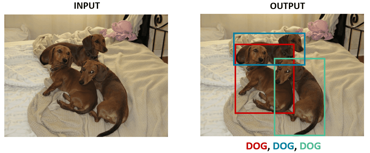 object detection