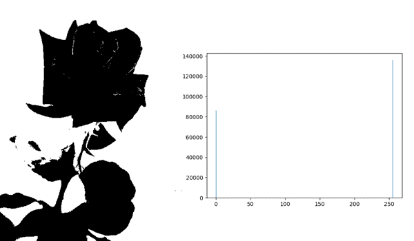 binary histogram