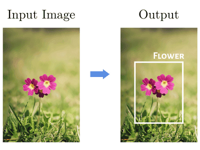 computer vision task